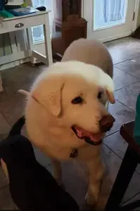 Just before his birthday 