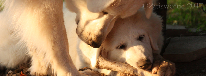 2025 AGM Banner 2025 AGM Banner