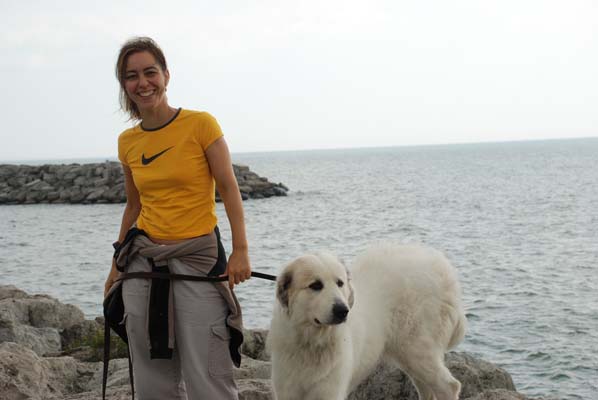 Great Pyrenees Mountain Dog