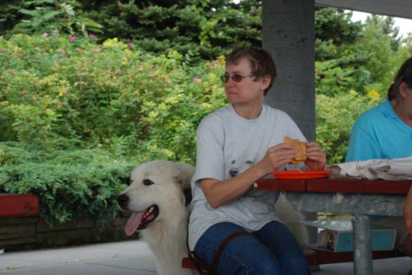 Great Pyrenees Mountain Dog