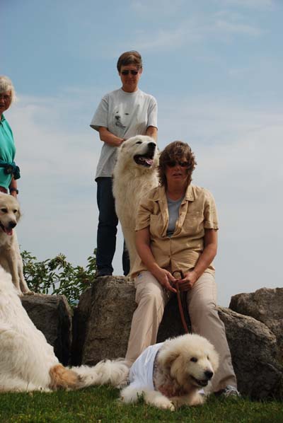 Great Pyrenees Mountain Dog