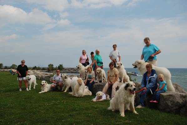 Great Pyrenees Mountain Dog