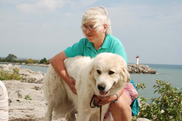 Great Pyrenees Mountain Dog