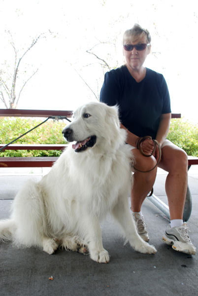 Great Pyrenees Mountain Dog