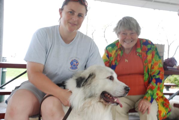 Great Pyrenees Mountain Dog