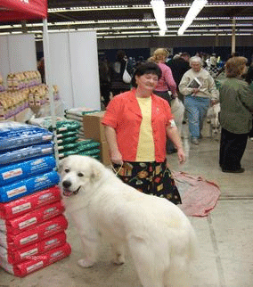 Great Pyrenees Mountain Dog