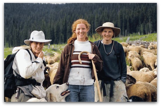 Livestock Guardian Dogs at Work