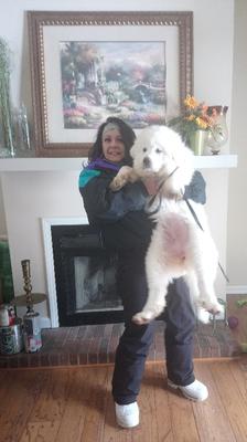 My lovely wife and Daisy at 12 wks.