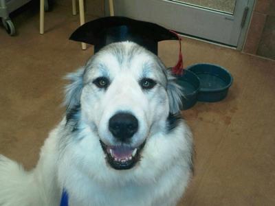 Garrett's Graduation Picture