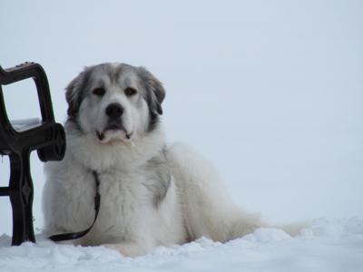 chillin in the snow