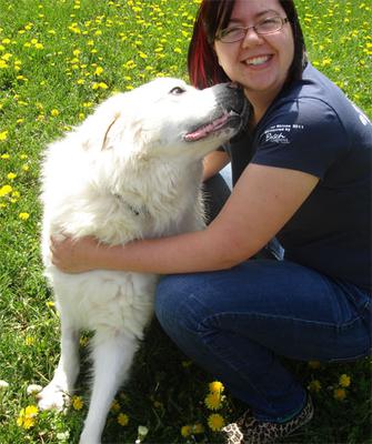 Great Pyr Rescue - Mister