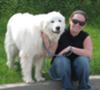 Great Pyrenees Rescue Goliath