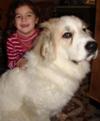 Great Pyrenees Rescue Oso