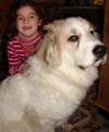 Great Pyrenees Rescue Oso