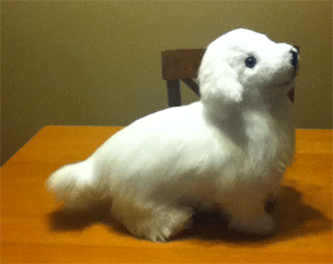 Hand Made Pyr Puppy