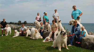 Great Pyrenees Mountain Dog