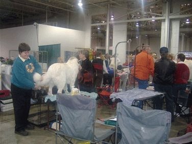 Ruth Goodwin, Aragon Reg'd and Friend Ruth Goodwin, Aragon Reg'd and Friend