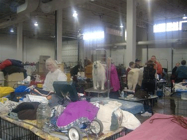 More behind the scenes More behind the scenes