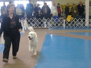 Sue Vilhauer & Oriana Sue Vilhauer & Oriana