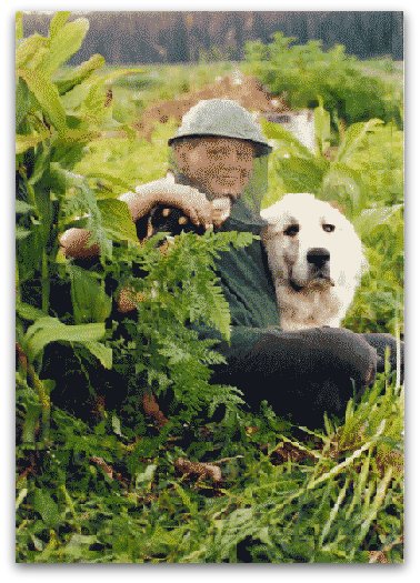 Livestock Guardian Dogs at Work