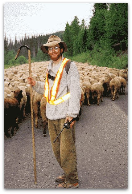 Livestock Guardian Dogs at Work