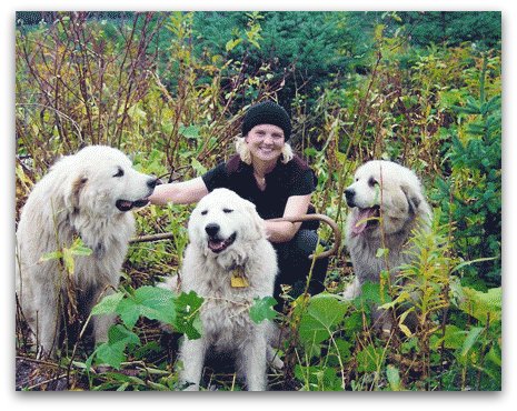 Livestock Guardian Dogs at Work