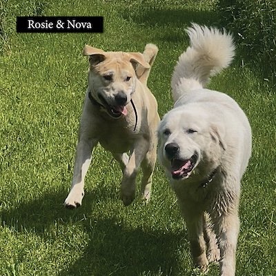 Rosie and Nova