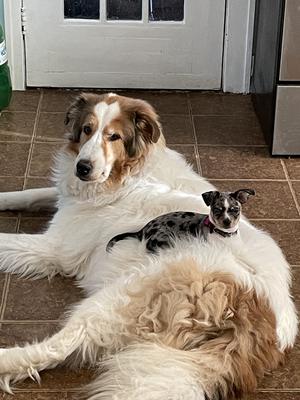 Can I sit here bro?