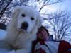 Great Pyrenees Rescue Bear