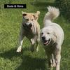 Rosie and Nova