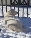 He loved snow